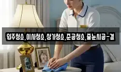 입주청소,이사청소,상가청소,준공청소,줄눈시공-결