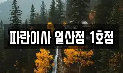 파란이사 일산점 1호점