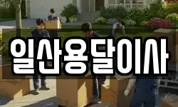 일산용달이사