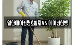 일산에어컨청소설치AS 에어컨선생