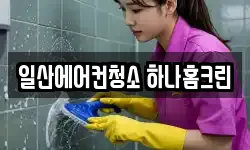 일산에어컨청소 하나홈크린
