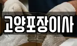 고양포장이사