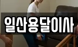 일산용달이사