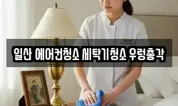 경기도 고양시 일산동구 장항동 청소,입주청소,사무실청소,에어컨청소