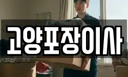 고양포장이사