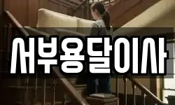 서부용달이사