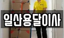 일산용달이사