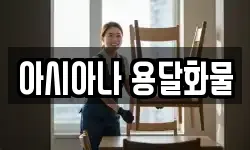 아시아나 용달화물