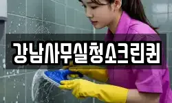 강남사무실청소크린퀸