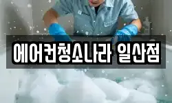 에어컨청소나라 일산점