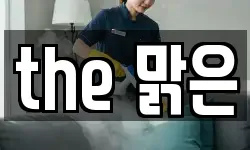 the 맑은