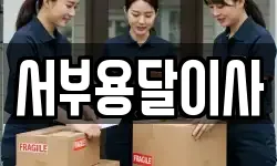 서부용달이사