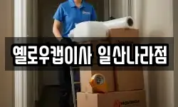 옐로우캡이사 일산나라점