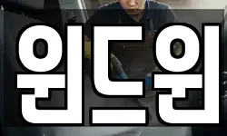 윈드윈