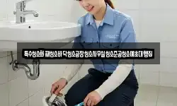 특수청소화재청소바닥청소공장청소사무실청소준공청소예초대행집