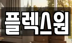 플렉스원