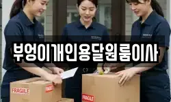 부엉이개인용달원룸이사