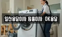 일산용달이사 원룸이사 OK용달