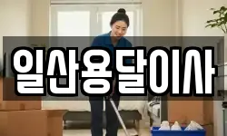 일산용달이사