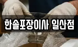 한솔포장이사 일산점