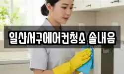 일산서구에어컨청소 솔내음