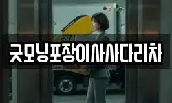 굿모닝포장이사사다리차