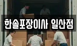 한솔포장이사 일산점