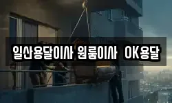 일산용달이사 원룸이사 OK용달