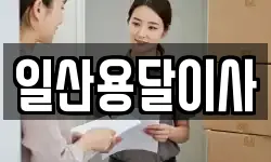 일산용달이사