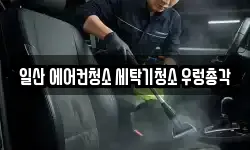 일산 에어컨청소 세탁기청소 우렁총각