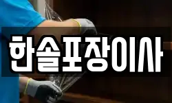 한솔포장이사