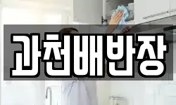 과천배반장