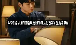 식당파출부,가사파출부,실버케어,노인건강검진,입주청소