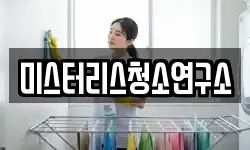 미스터리스청소연구소