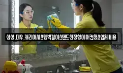 삼성,대우,캐리어시스템벽걸이스탠드천장형에어컨청소업체비용