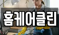 경기도 과천시 과천동 청소,입주청소,사무실청소,에어컨청소