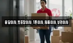 용달이사,반포장이사,1톤이사,원룸이사,보관이사
