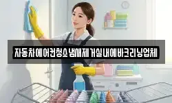 자동차에어컨청소냄새제거실내에바크리닝업체