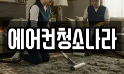경기도 과천시 별양동 청소,입주청소,사무실청소,에어컨청소