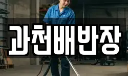 과천배반장