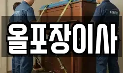 올포장이사