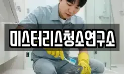 미스터리스청소연구소