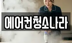 에어컨청소나라