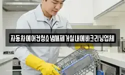 자동차에어컨청소냄새제거실내에바크리닝업체