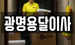 광명용달이사
