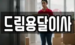 드림용달이사
