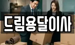 드림용달이사