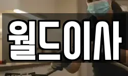 월드이사