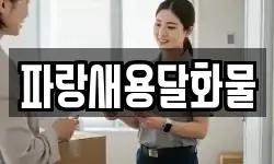 파랑새용달화물
