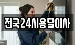 전국24시용달이사
